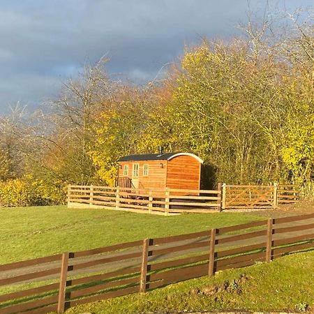 The Snug At Coed Y Gaer Villa Oswestry Ngoại thất bức ảnh
