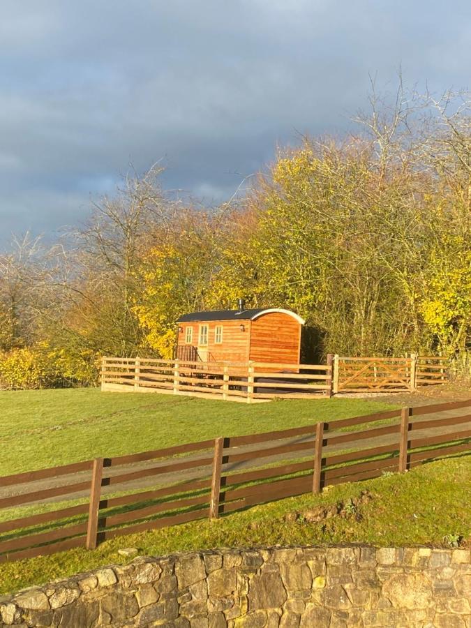 The Snug At Coed Y Gaer Villa Oswestry Ngoại thất bức ảnh